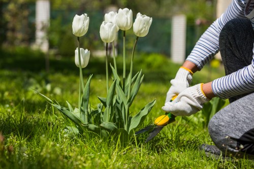 Gardeners working on a Camden terrace front garden with tools and van nearby