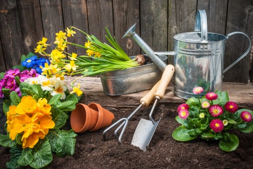 Camden outdoor garden planning