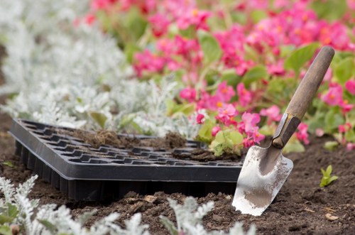 Close-up of hands planting seedlings at a Camden garden event
